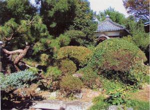 さまざまな木々が青々と茂り、その間から木造建築の母屋が見える市内最古の日本庭園竹親庭の写真