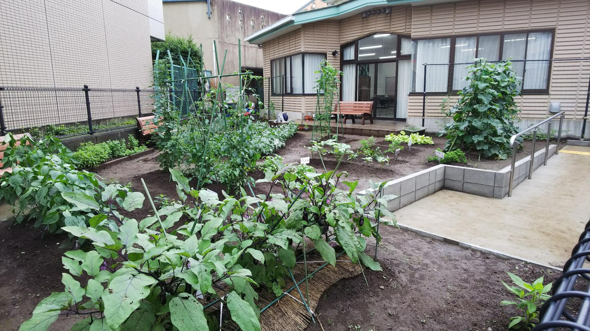 介護予防センターの菜園整備