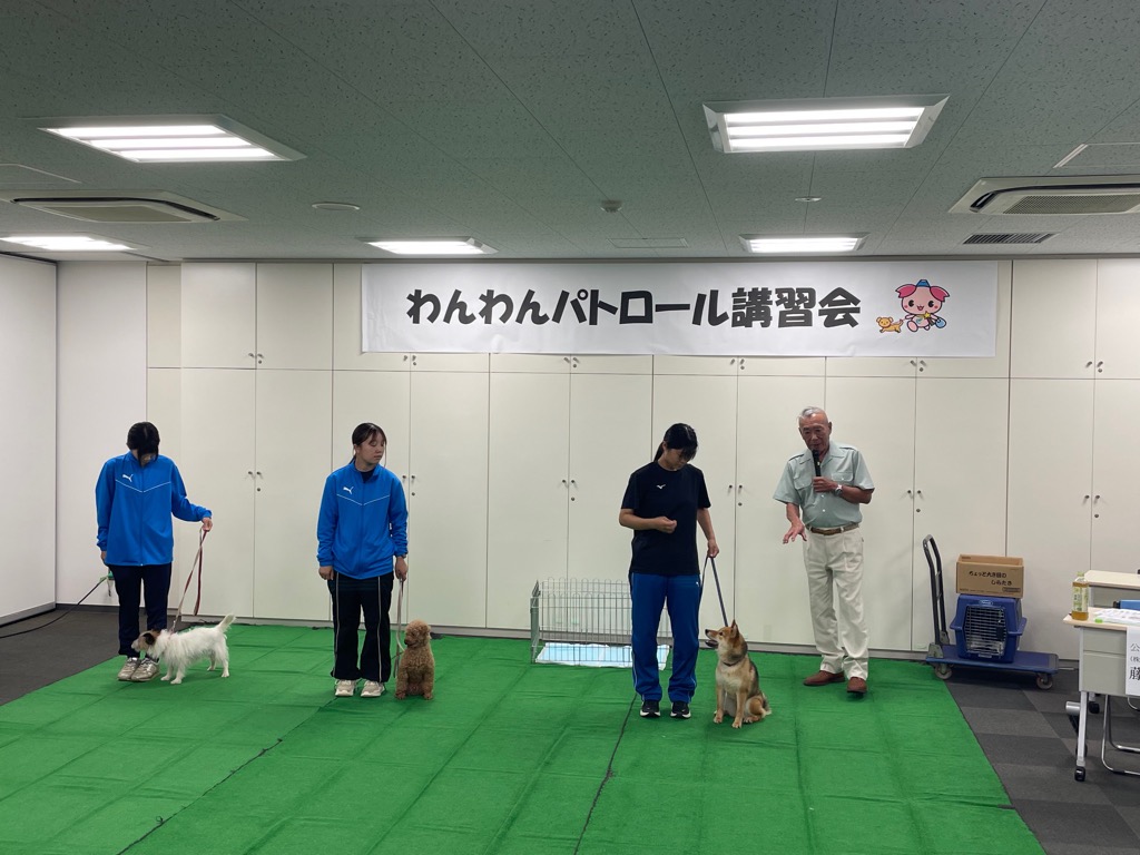 講師らが犬と一緒に、しつけ方法を実演している様子。